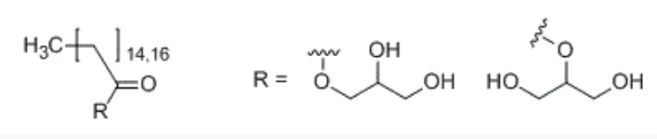 TRIGON CHEMIE Glycerol monostearate (GMS) 90% Powder - Chemical Structure