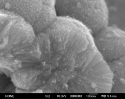Titan Kogyo ST-750EC - Electron Microscope Photographs (Sem)