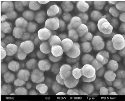 Titan Kogyo ST-710EC - Electron Microscope Photographs (Sem) - 1