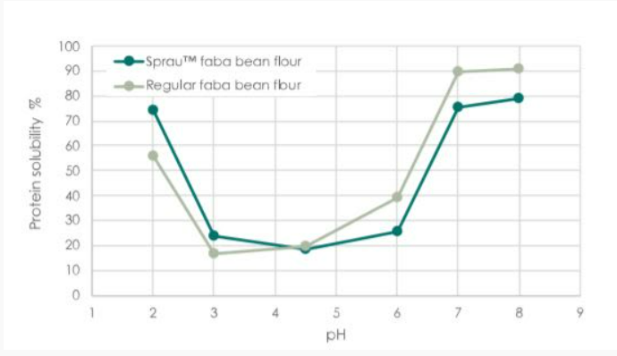 Sprau® Germinated Bean Flour - Proteins Solubility