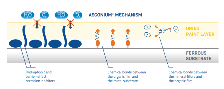 ASCONIUM® 144DA - Mechanism of Action