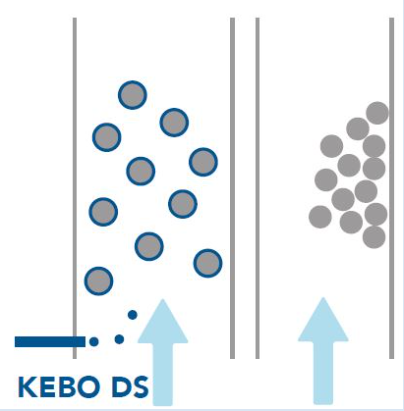 KEBO DS NOUVEAU - Technical Details
