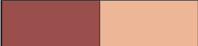 IrisColor RED OXIDE TR. (OX-RT) - Pigment