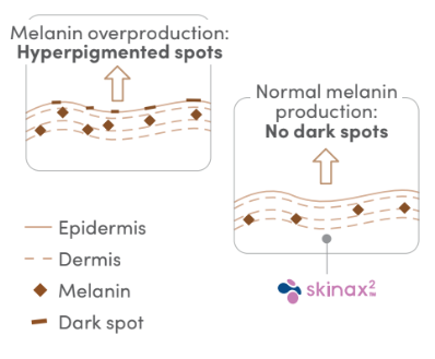 Skinax²™ PR-0092 - Mechanisms of Action - 1