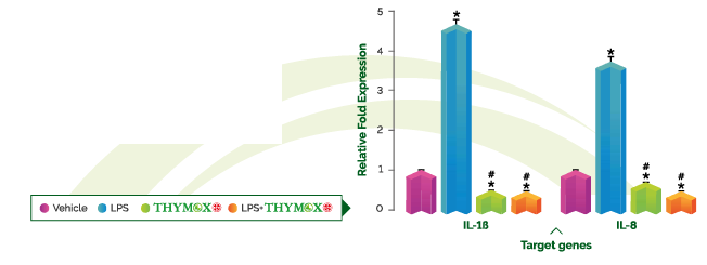 THYMOX - EPO® Dry Extract - Anti-Inflammatory And Expectorant Activity