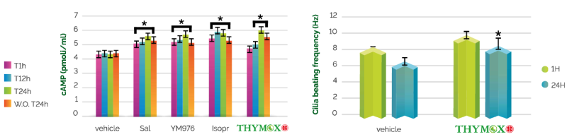 THYMOX - EPO® Dry Extract - Anti-Inflammatory And Expectorant Activity - 2