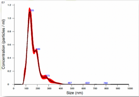 EriVan Bio UC-MSC Exosomes (Umbilical Cord Derived) - Key Features