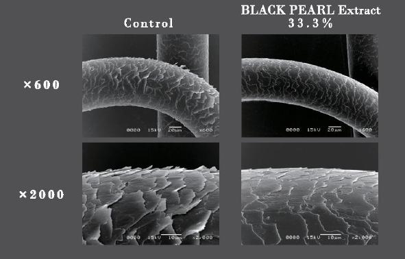 BLACK PEARL Extract™ - Hair Care - 1