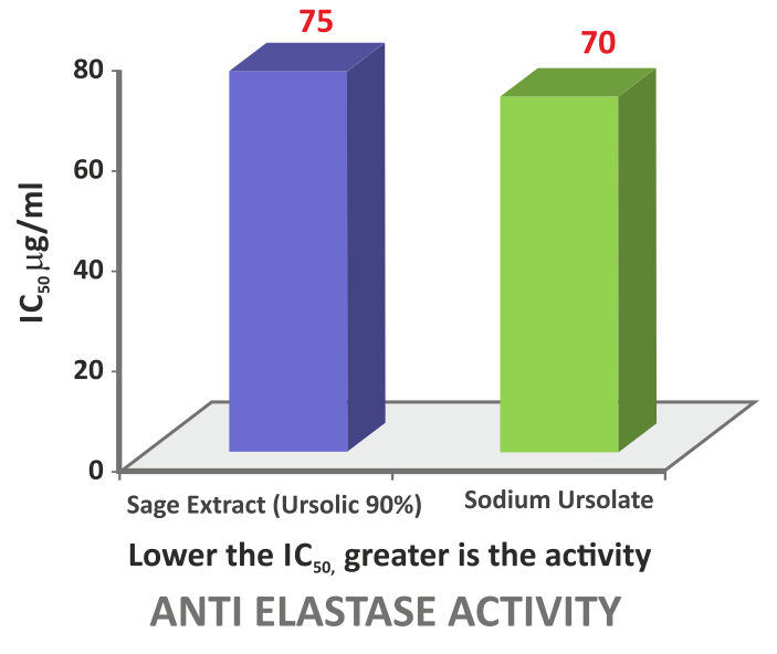 Sabinsa Cosmetics Sage Extract (Ursolic Acid 90%) - In Vitro Studies