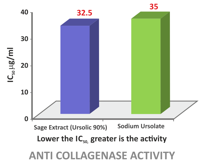 Sabinsa Cosmetics Sage Extract (Ursolic Acid 90%) - In Vitro Studies - 1