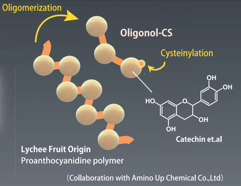 ADS-Oligonol - Active Substance Oligonol Cs