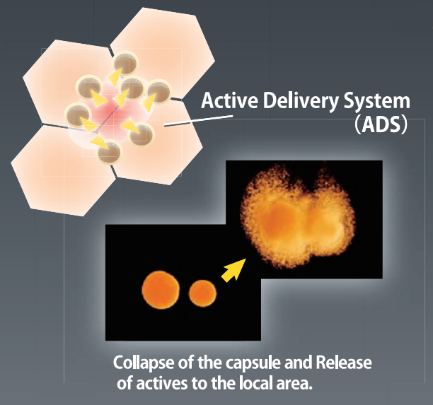ADS-Oligonol - Active Delivery System