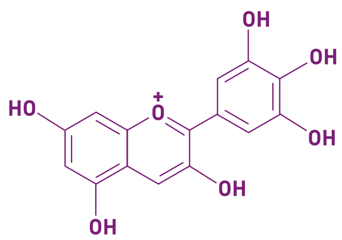 Delphinol® Balanced Metabolism - Chemical Structure