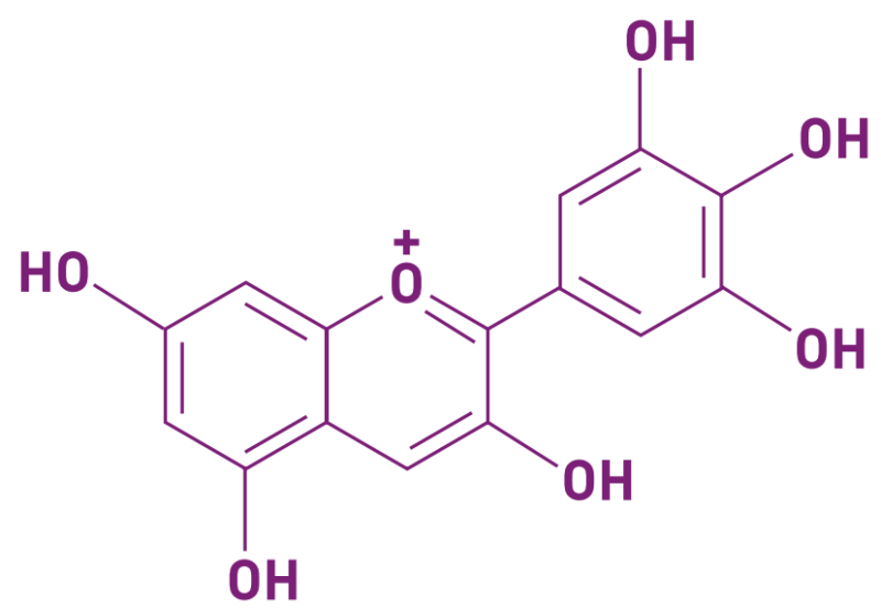 Delphinol® Bone Health - Chemical Structure