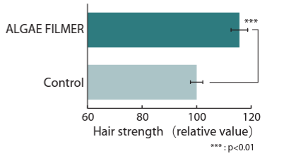 ALGAE FILMER - Activity To Enhance Hair Strength