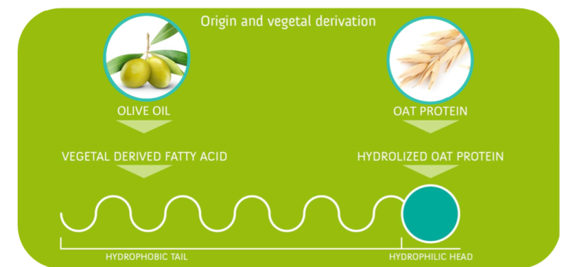 OLIVOIL® FRUTTOSIDE BAS - Patented Anionic Polypeptide: Chemical Nature