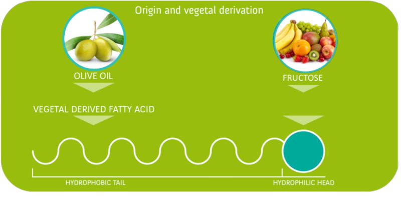OLIVOIL® FRUTTOSIDE BAS - Patented Non Ionic Lipo-Sugar: Chemical Nature