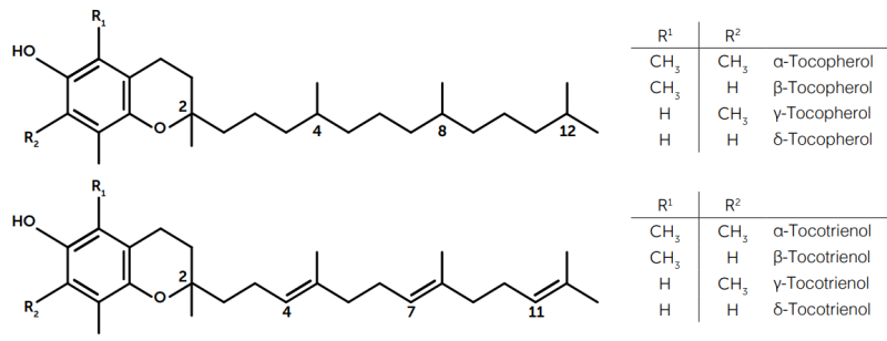 Vitrenol® 20L - Chemical Structure