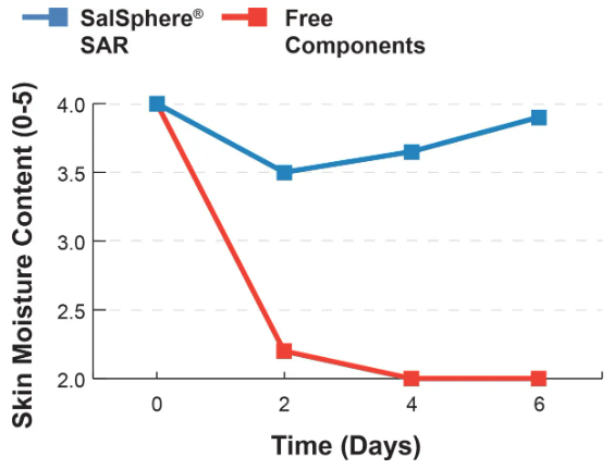 Salvona Encapsulation Technologies SalSphere Severe Acne Relief Efficacy Tests - 4