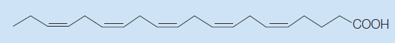 DiTech MultiFuncational L - Structural Formula