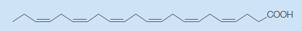 DiTech MultiFuncational L - Structural Formula - 1