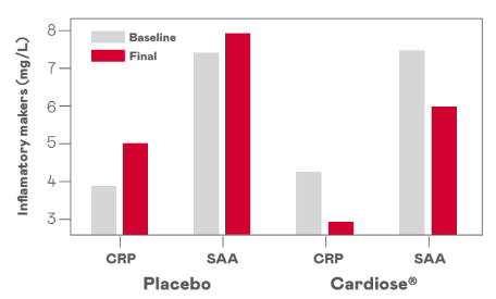 Cardiose - Cardiose Maintains Arterial Flexibility - 1