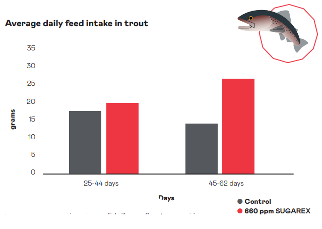 HTBA Neohesperidin dihydrochalcone Feed Grade - Sugarex: Feed Intake Enhancer in Fish