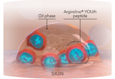 Argireline® YOUth peptide - Lipoclear™ Inverse Micelle Delivery System - 1