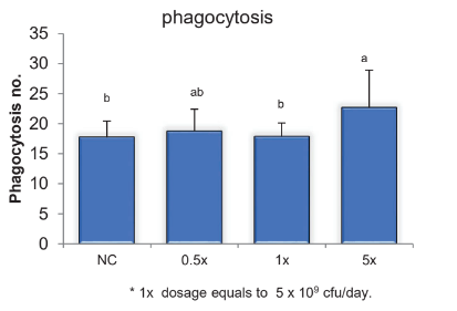 Bioflag Lactobacillus paracasei MP137 - Product Characteristics - 1