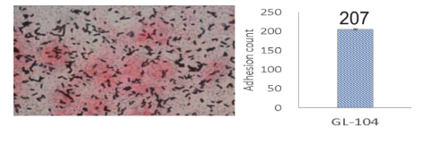 Bioflag Lactobacillus reuteri GL-104 - Packaging Information - 1