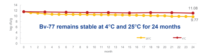 Bioflag Lactobacillus rhamnosus bv-77 - Stability Test - 1