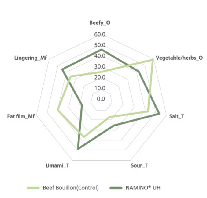 Namino® UH Base 100 - Beef Bouillon Profile - 1