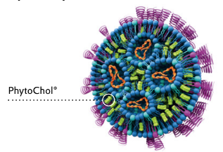 PhytoChol® Inject Lipid nanoparticle