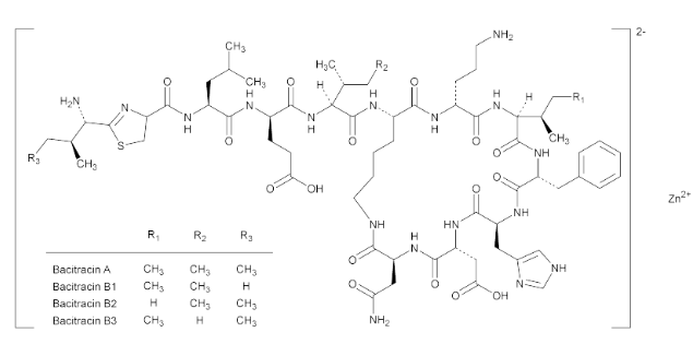 Bacitracin Zinc - Chemical Structure