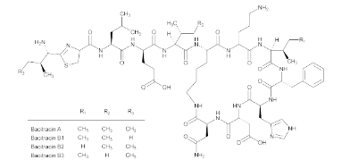 Bacitracin Chemical Structure - 1