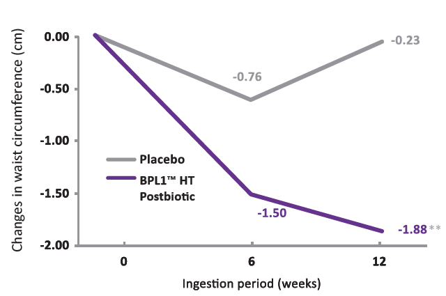 BPL1™ Postbiotic - Waist Circumference Comparison - 1