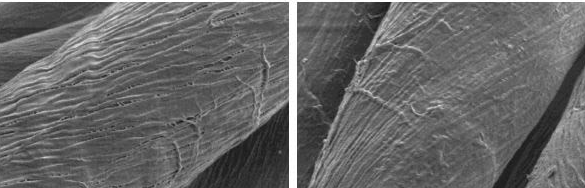 Comparison of fibers washed in detergent with and without Coltide HSi