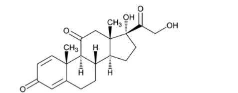 Pharm-Rx Prednisone - Chemical Structure - 1