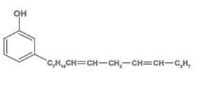 Cardolite® NX - 2021 - Chemical Structure - 1