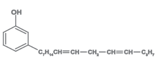 Cardolite® NX - 2026 - Chemical Structure - 1