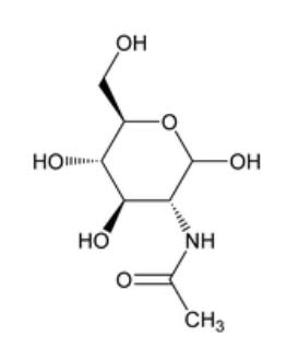 Pharm-Rx N-ACETYL-D-GLUCOSAMINE - Chemical Structure - 1
