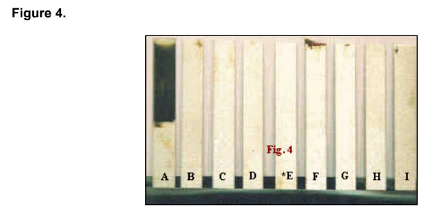 DeTROPE CA - 100 - Corrosion Testing - 1