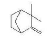 CAMPHOR D EU NAT - Storage Information - 1