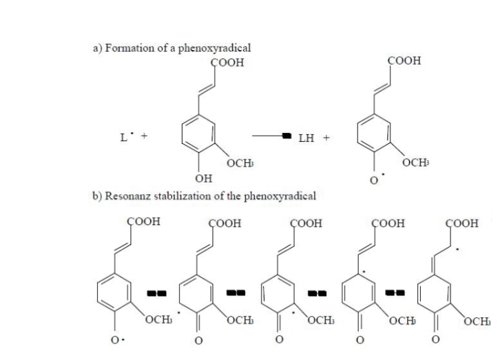 GfN Ferulic Acid Synthetic - Efficacy - 1