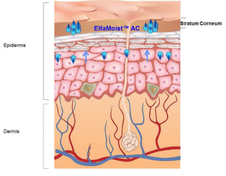 Durastrength® 4000 - Typical Starting Formulation Recommendations - 1