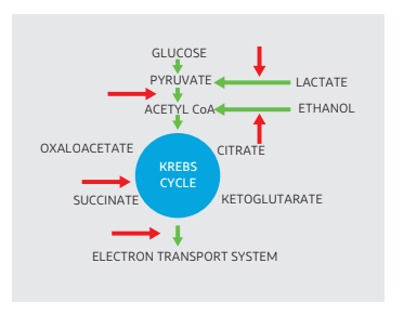 KORDEK™ LX5000 Biocide - Technical Details - 1