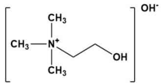 E-GRADE® Choline OH - Product Benefits - 1
