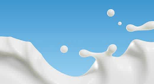 Les produits laitiers
