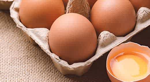 Produits à base d'œufs et extraits