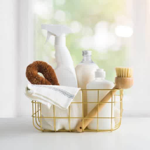 Cleaning Ingredients